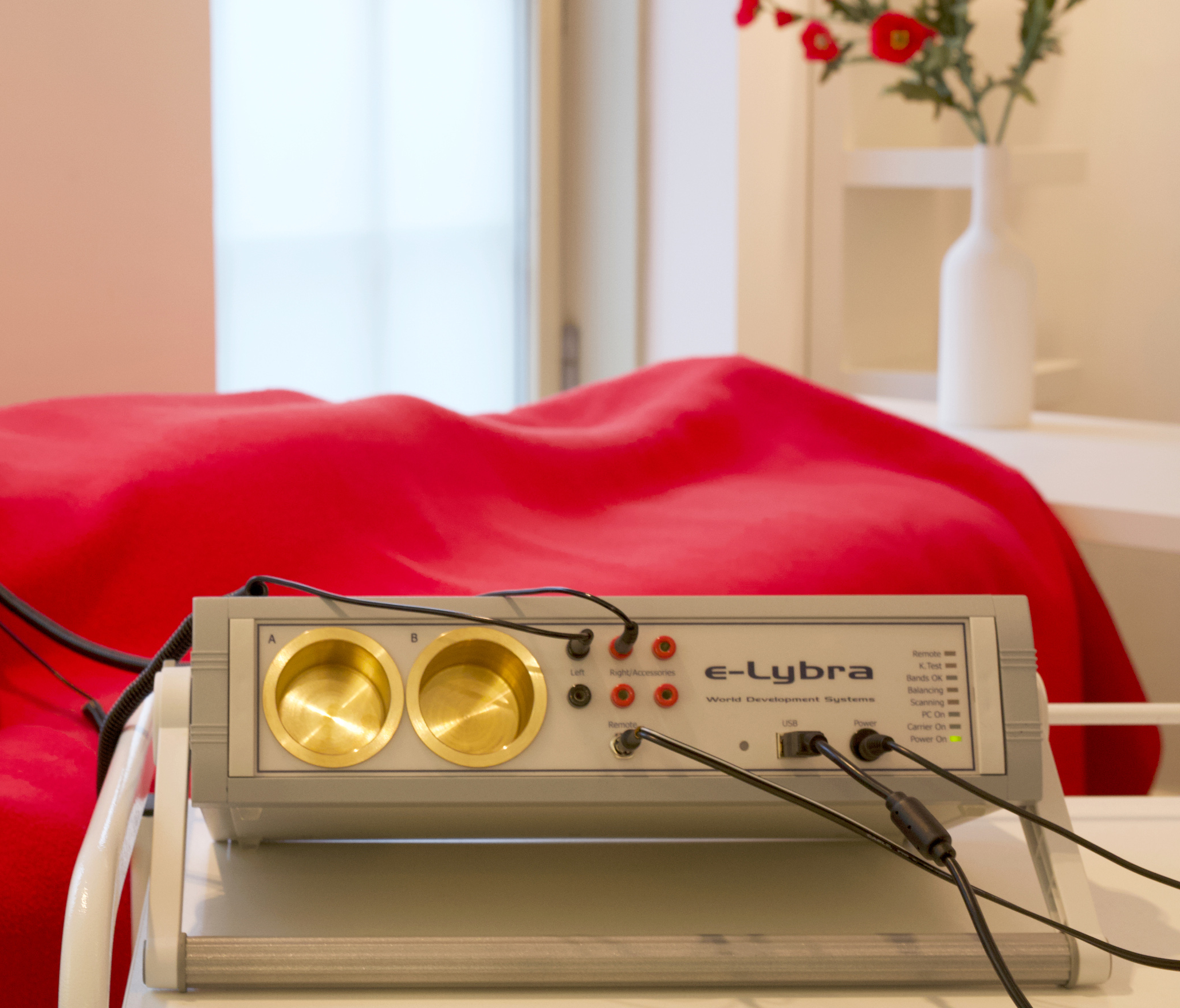 e-Lybra® Bio Resonance